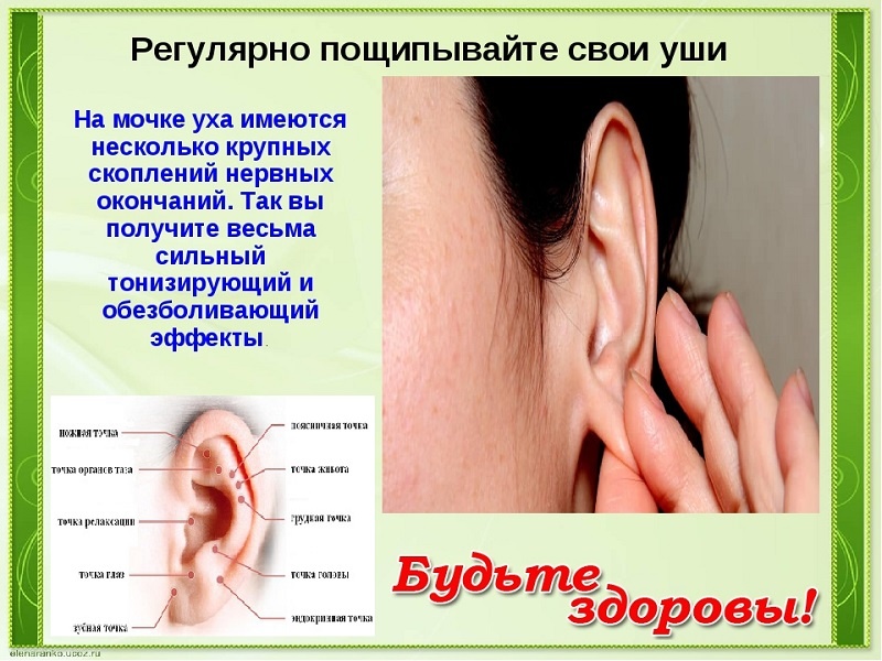 пощипывание ушей для здоровья