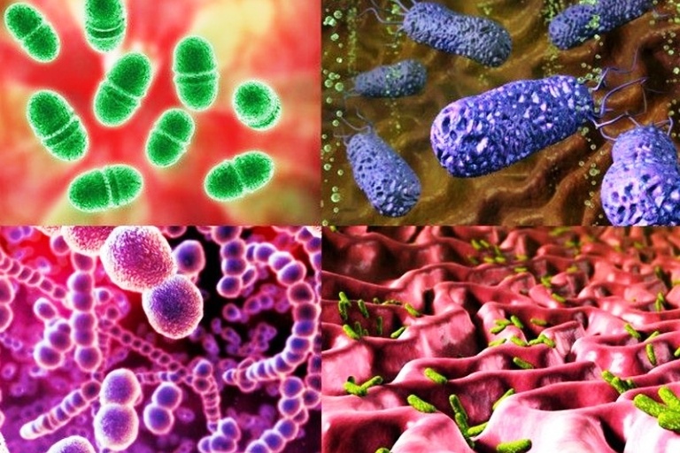 Картинки патогенные микроорганизмы