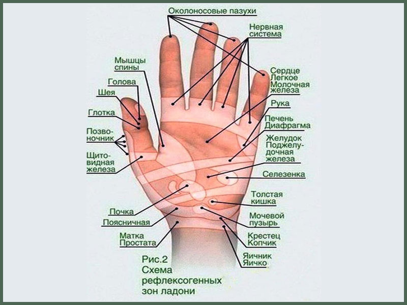 Точки на запястье руки. Точечный массаж кисти рук. Массаж кистей. Точечный массаж рук. Массаж кистей рук и пальцев.
