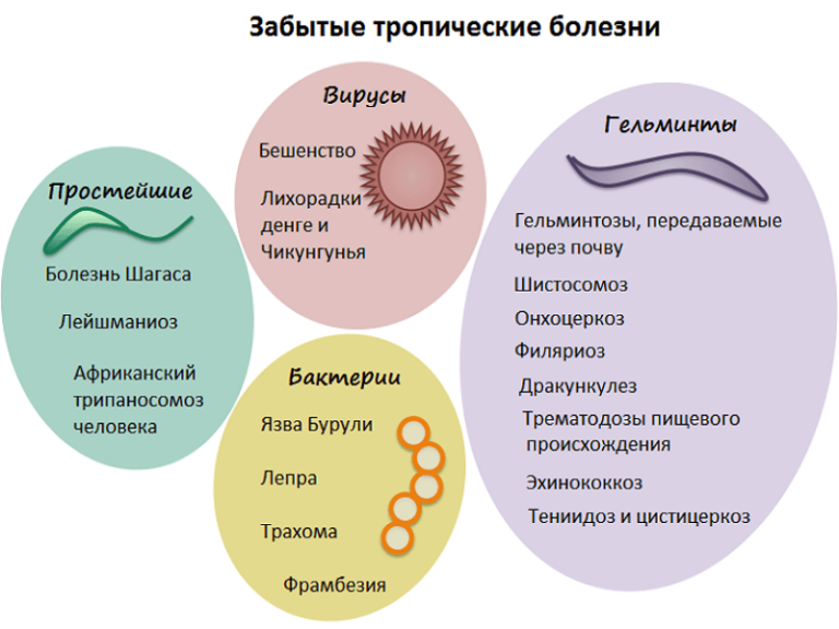 Тропические заболевания. Топические заболевания. Забытые тропические болезни. Заболевания в тропиках.